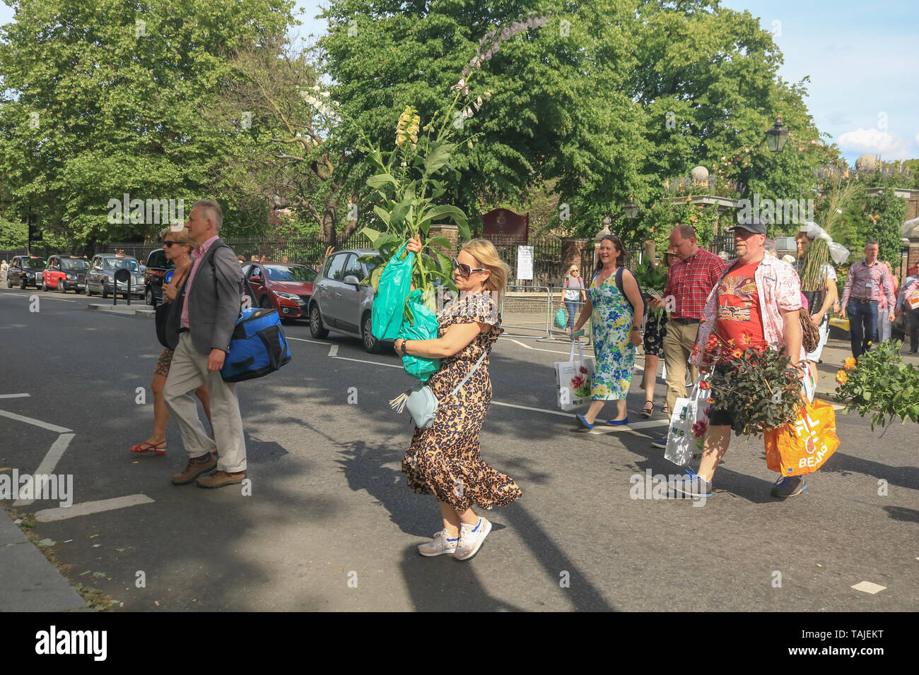 Londres, Royaume-Uni. 25 mai 2019. Les membres du public faire de l'exposant des plantes et une grande variété de fleurs sur le dernier jour de la Chelsea Flower Show 2019 à la Royal Horticultural Society flagship flower show qui a eu lieu au Royal Hospital Chelsea depuis 1913 Banque D'Images