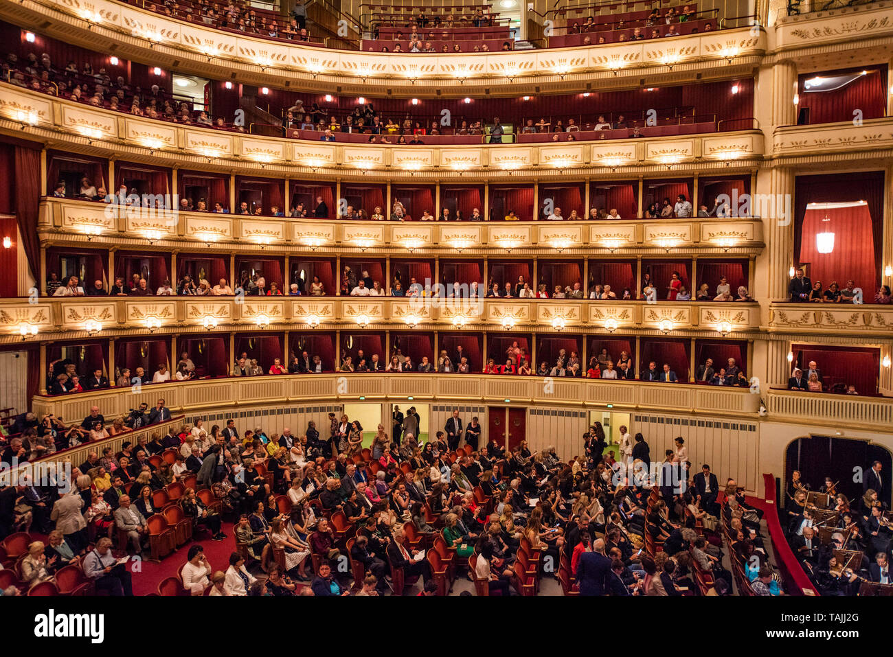 Vienne, Autriche. 25 mai, 2019. Attendre l'auditoire à l'exercice pour commencer à l'Opéra de Vienne, à Vienne, Autriche, le 25 mai 2019. Maison de l'Opéra de Vienne a organisé un programme spécial le samedi pour rendre hommage au 150e anniversaire de la chambre et de ses artistes. L'Opéra de Vienne est l'un des opéras les plus célèbres au monde, qui a été ouverte le 25 mai 1869. Source : Xinhua/Alamy Live News Banque D'Images