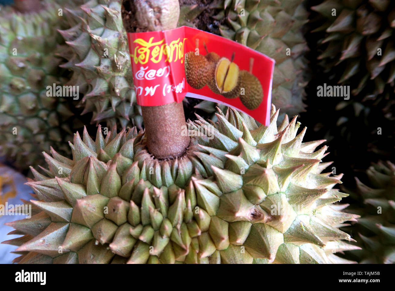 Durian à vendre, région de Khlong Tan,Bangkok, Thaïlande Banque D'Images
