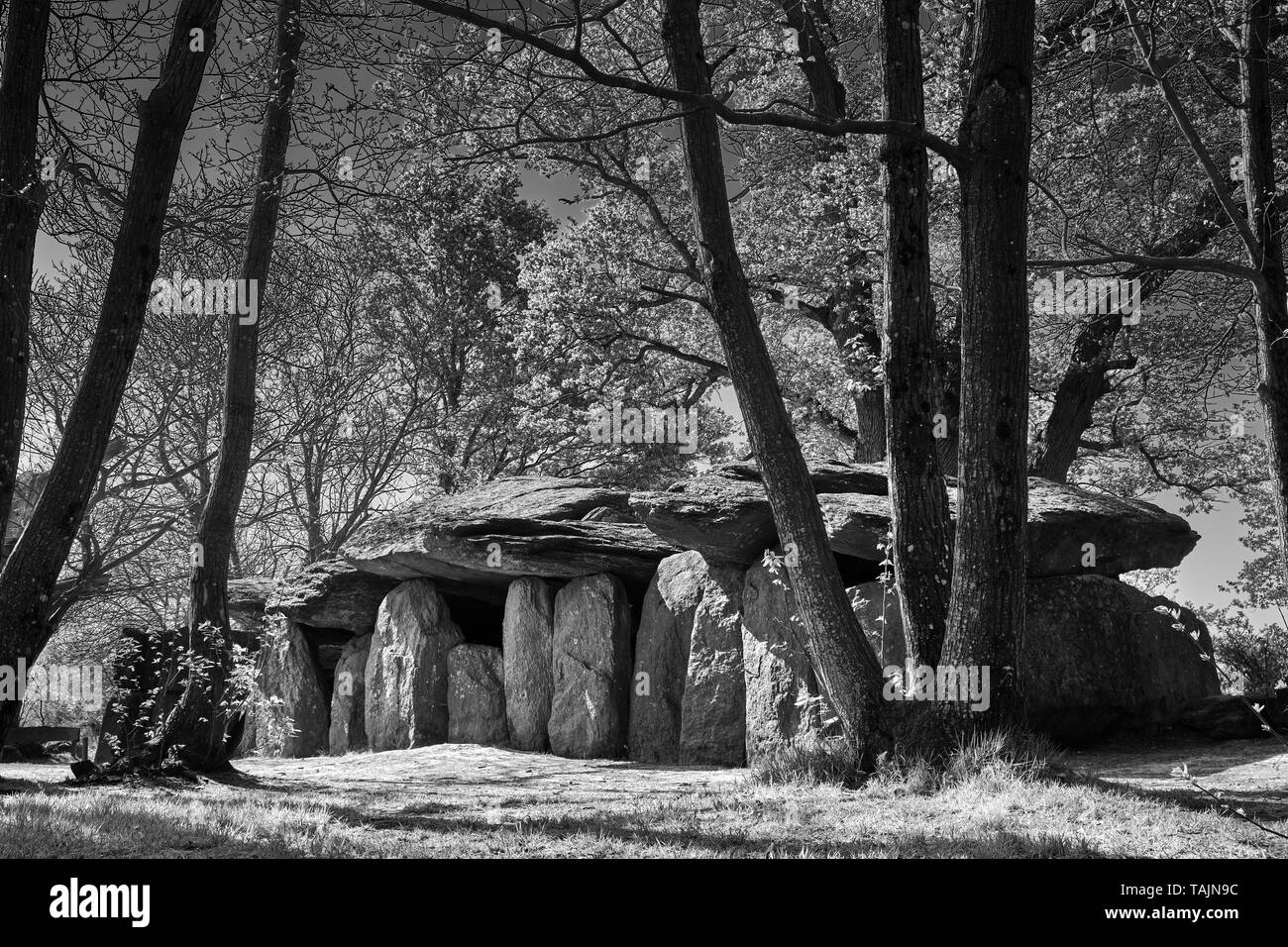 Plus grand passage couvert d'inhumation Banque D'Images