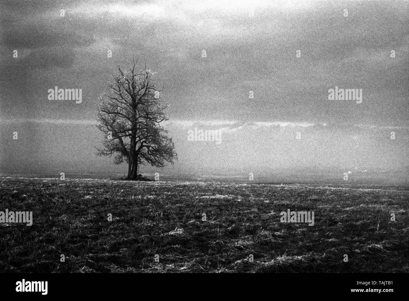 Image en noir et blanc granuleux de la bataille de Gettysburg après une tempête de décembre en 2000. Banque D'Images