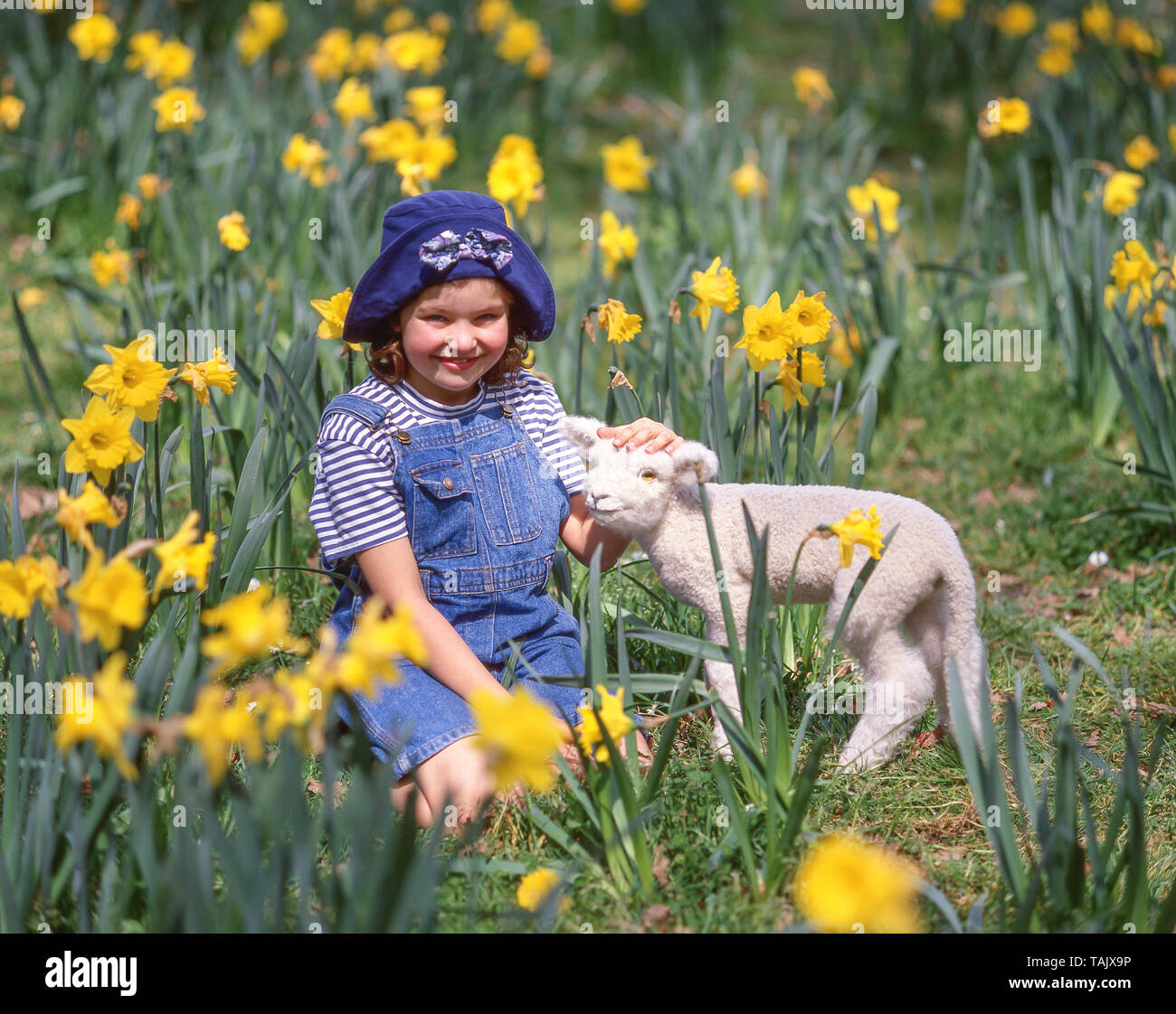 Jeune fille avec de l'agneau dans le champ de jonquilles, Hagley Park, Christchurch, Canterbury, île du Sud, Nouvelle-Zélande Banque D'Images