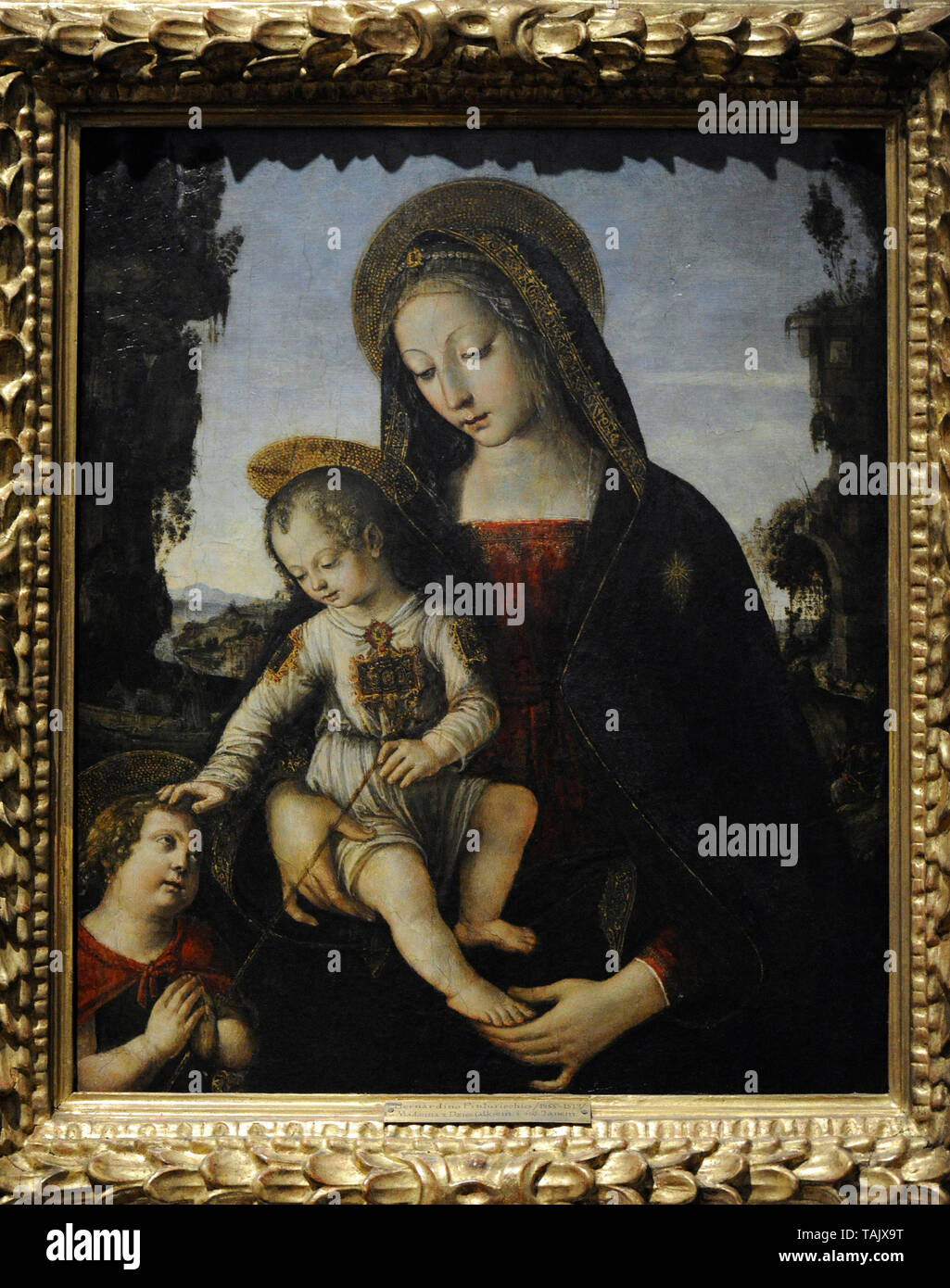 Bernardino di Betto, appelé Pinturicchio (ca.1452-1513). Peintre italien. La Vierge et l'enfant avec Saint Jean Baptiste. Musée national. Varsovie. La Pologne. Banque D'Images