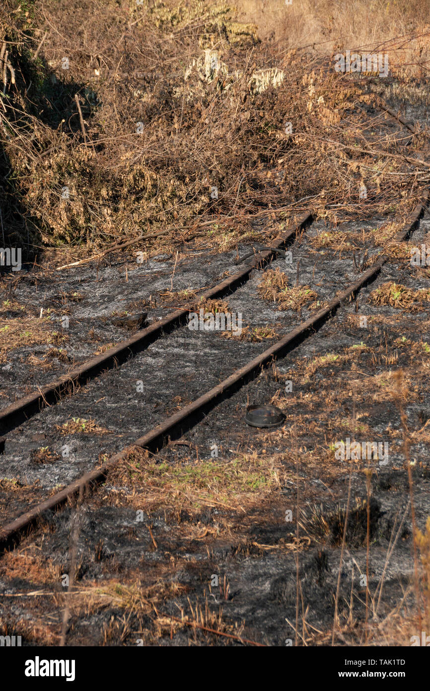 Une vue rapprochée de l'ancienne ligne raileway non utilisée qui a pense que Bush le couvrant et un incendie a causé la bandes de métal à être révélé Banque D'Images