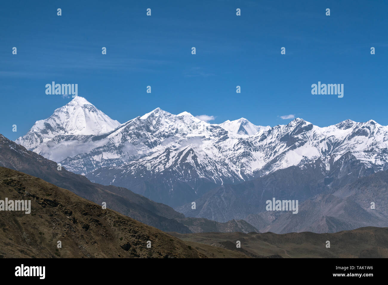 Himalaya, Dhaulagiri Himal vu de Muktinath, Népal Banque D'Images