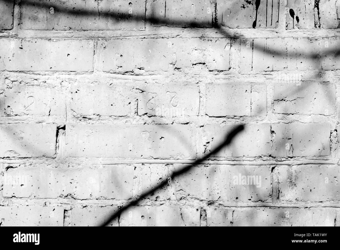 Vieux mur de briques peint avec des ombres de branches sur elle lors d'une journée ensoleillée. Résumé fond noir et blanc Banque D'Images