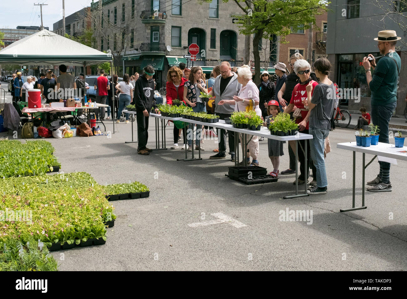 Distribution gratuite de fleurs et plantes pour les résidents de la Mile End . Une initiative verte et inclusive renouvelé chaque année dans différents quartiers de Montréal Banque D'Images