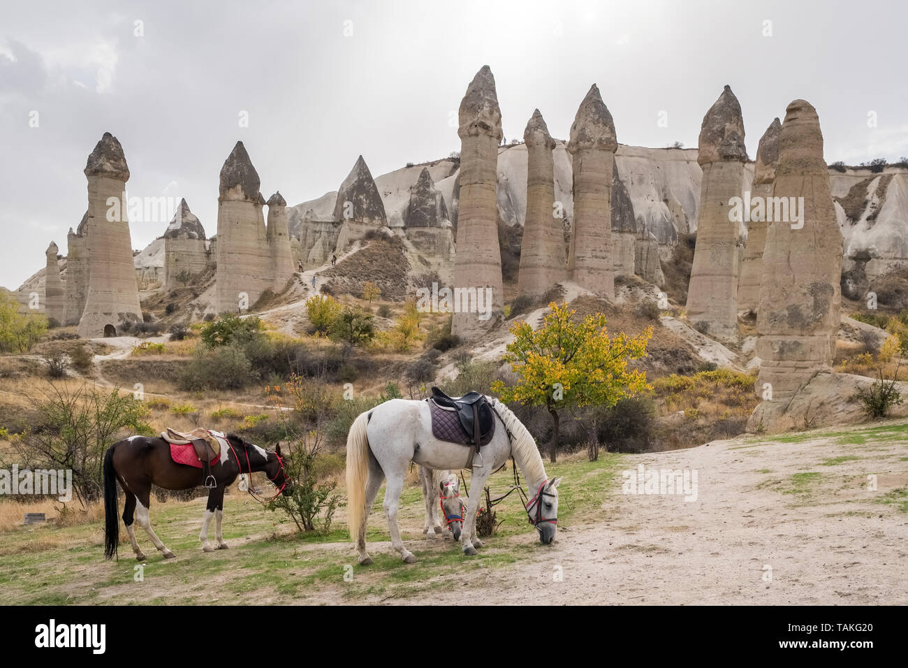 Avec les chevaux célèbres formations rocheuses à l'arrière-plan dans la vallée de l'amour, la Cappadoce. Banque D'Images