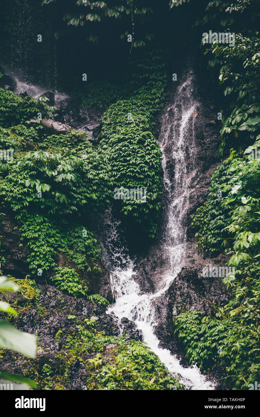 Détail de la cascade de Gitgit à Bali, Indonésie Banque D'Images