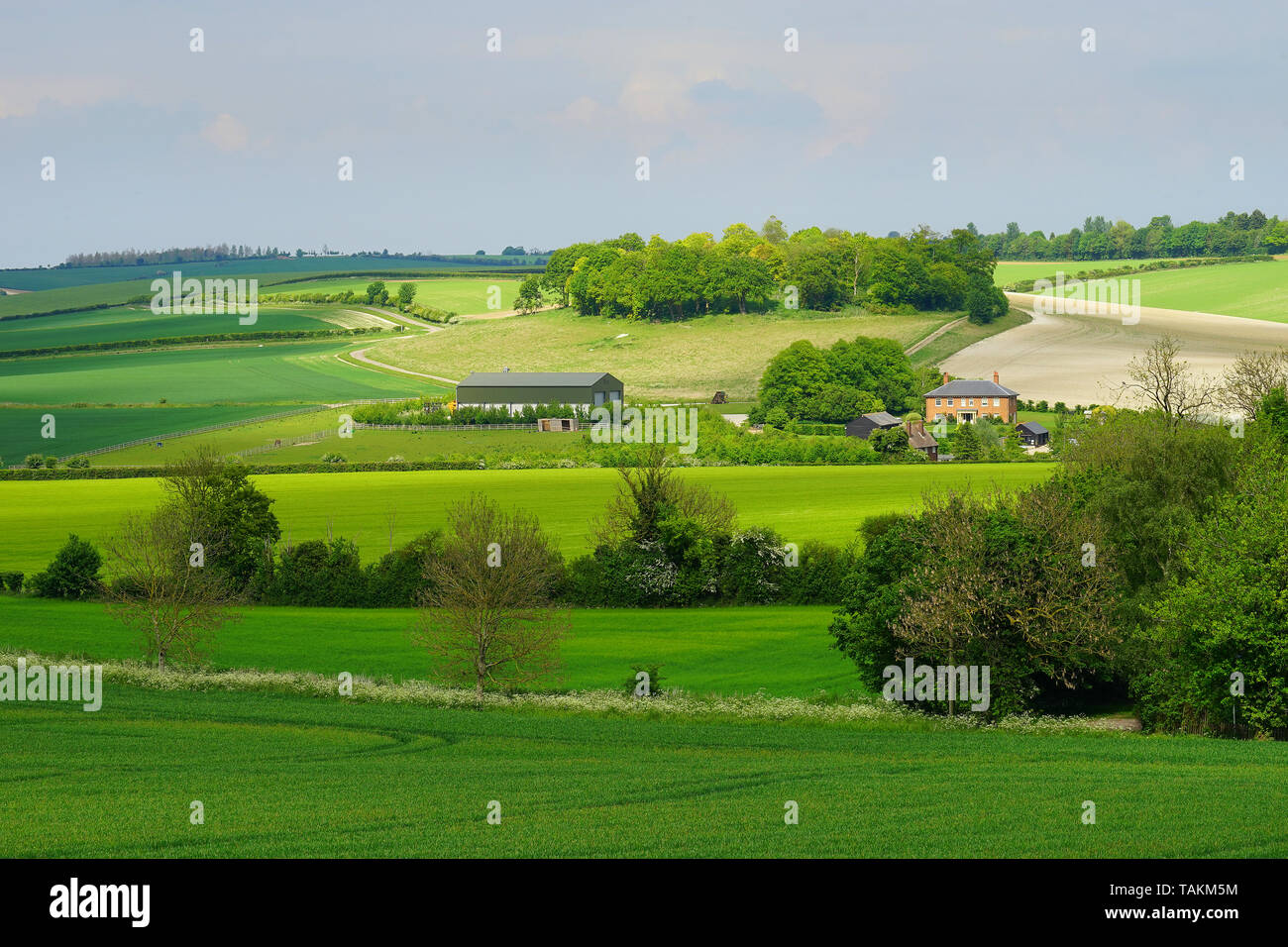 Une vue de Wallington à Lodge Farm et Mill Hill Banque D'Images