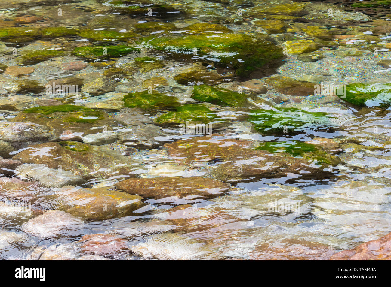 Belle plage de galets photo creek Banque D'Images