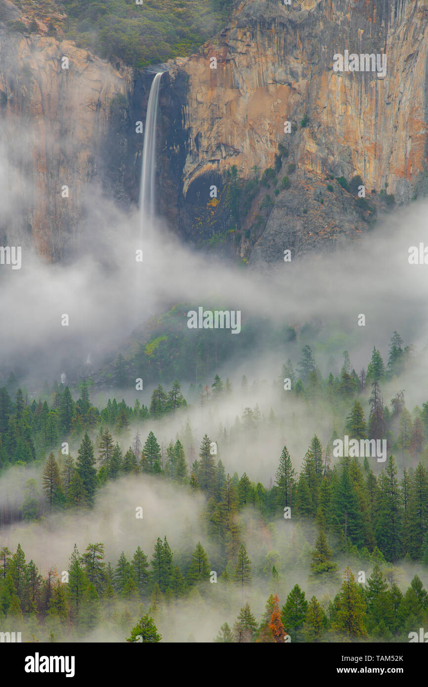 Bridalveil Falls, et le brouillard, Yosemite National Park, California, USA, par Bill Lea/Dembinsky Assoc Photo Banque D'Images