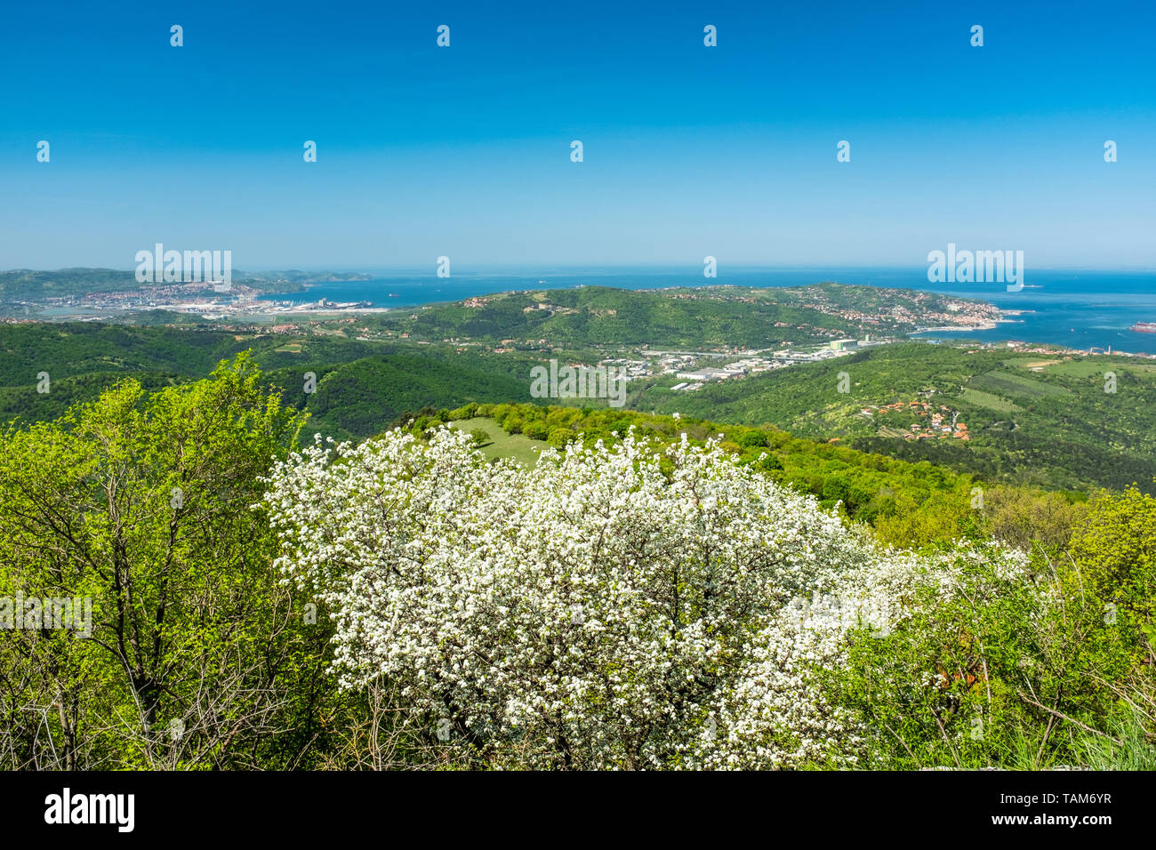 Vue panoramique du château de Socerb dans la Slovénie à la mer Adriatique avec baie de Nice ville et Koper Banque D'Images