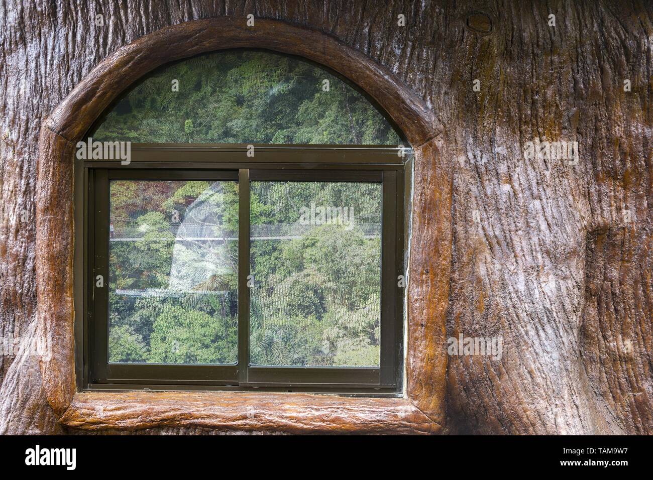 Forêt Tropicale Jungle réflexion dans la fenêtre cabane rustique, Parc National du Volcan Arenal près de La Fortuna Costa Rica Banque D'Images