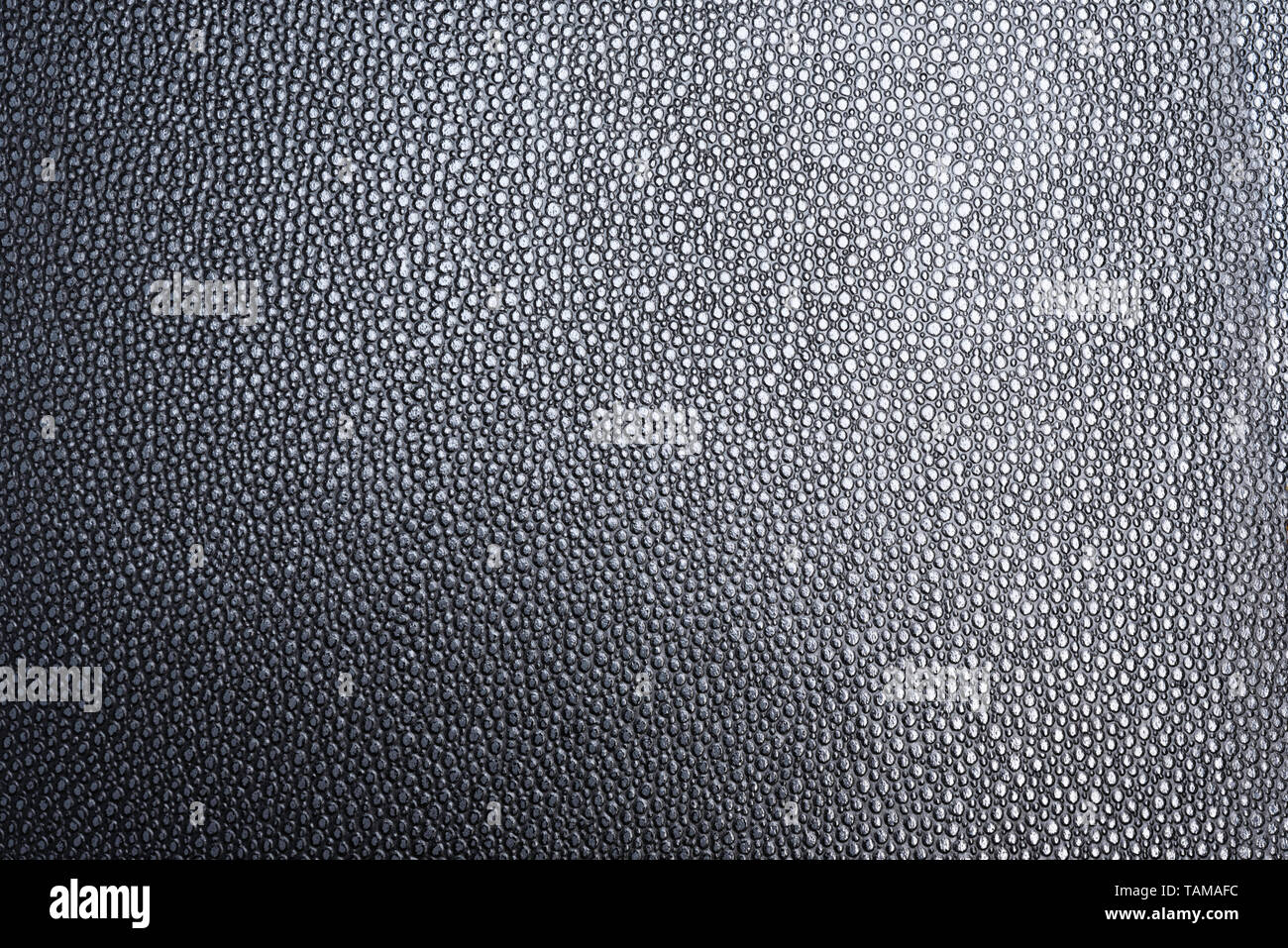 La texture d'un simili-cuir noir avec des détails clairs sous un éclairage progressif. Banque D'Images