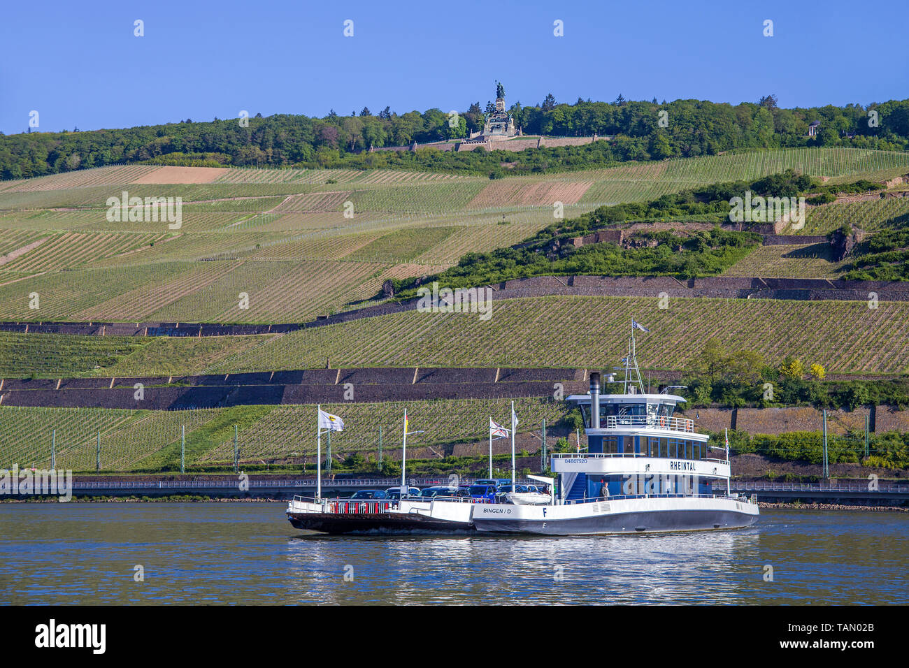 Car-ferry à partir de Bingen à Rüdesheim, au-dessus du Niederwalddenkmal, site du patrimoine mondial de l'UNESCO, Vallée du Haut-Rhin moyen, Rhénanie-Palatinat, Allemagne Banque D'Images