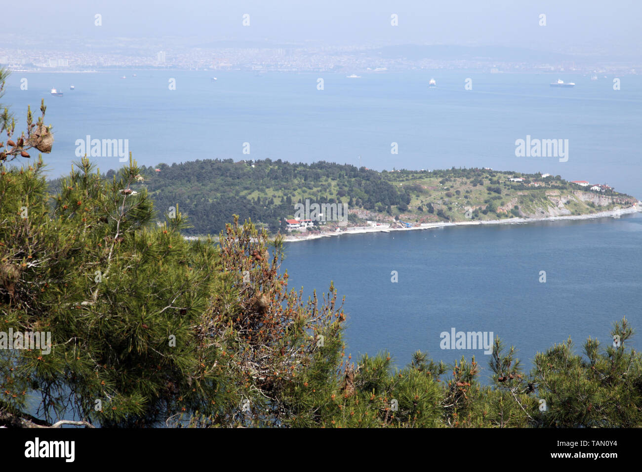 L'île de l'île Prince Sedef Frederikshavn en mer de Marmara, Istanbul, Turquie. Banque D'Images