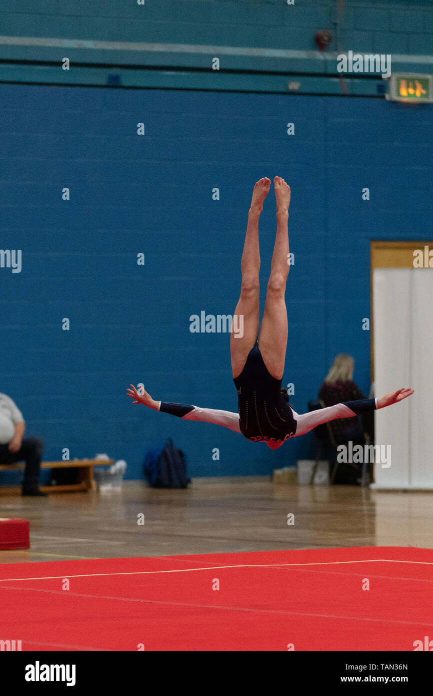 Divers Les gymnastes en compétition pour le NPD de la qualification la gymnastique à Fenton Manor, Stoke on Trent en mai 2019. Pas de visages, visibles seulement d'utilisation éditoriale Banque D'Images