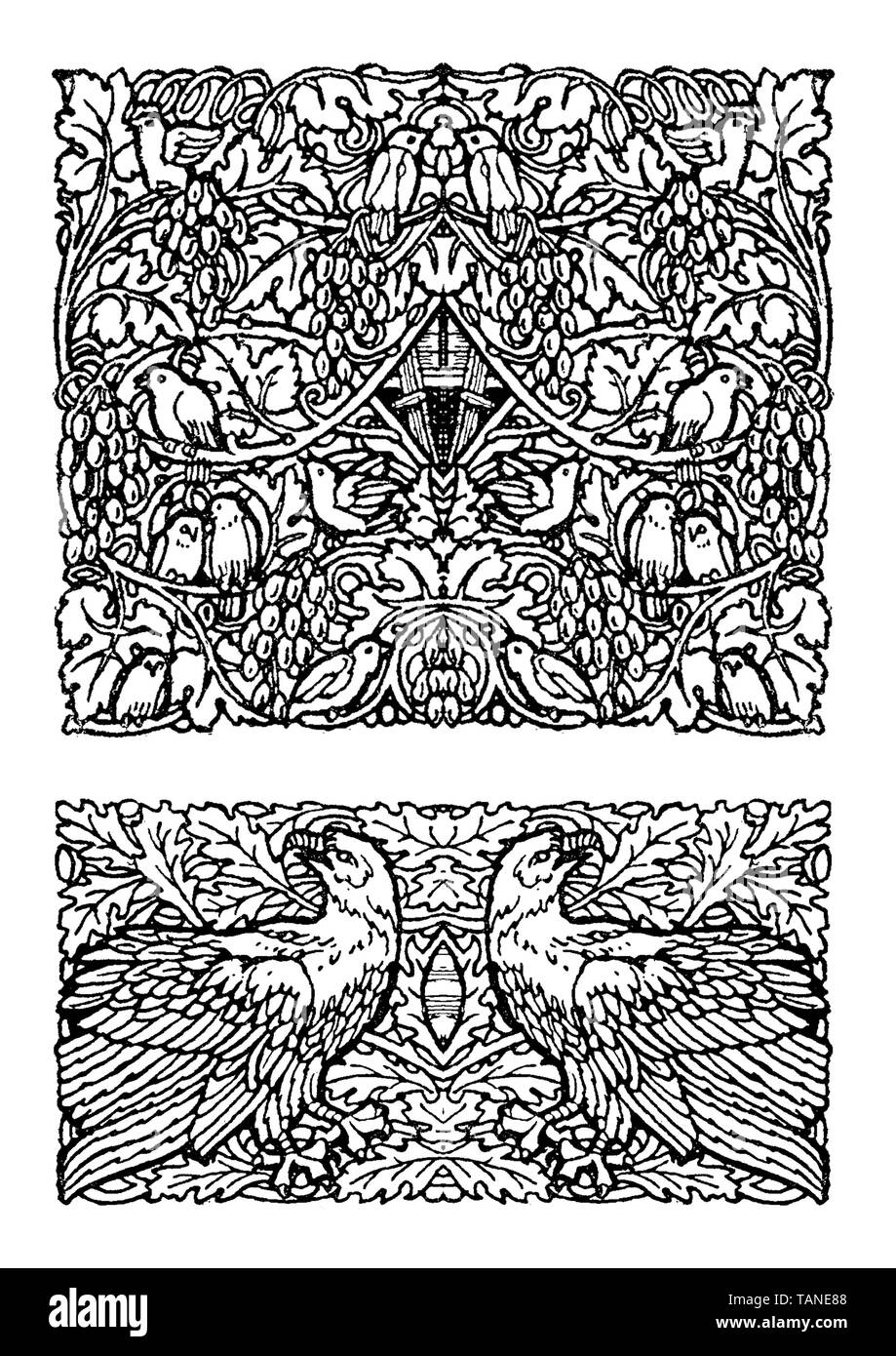 Ard déco décoration symétrique typographique : Nature et faune, oiseaux de proie et les passereaux Banque D'Images