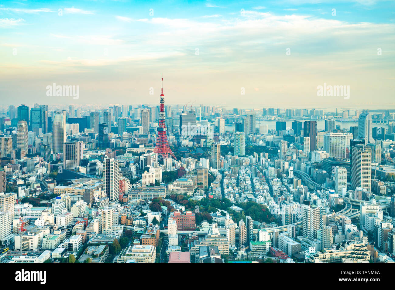 La Tour de Tokyo, Japon - communication et tour d'observation. C'était la plus haute structure artificielle au Japon jusqu'en 2010 lorsque le nouveau Tokyo Skytree becam Banque D'Images