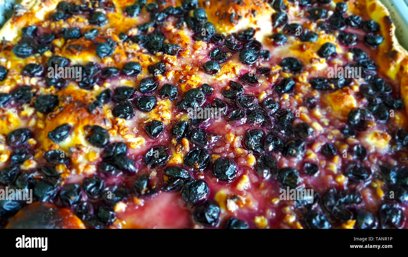 Avec des raisins écrasés (schiacciata con l'uva) est une douce focaccia typique de la toscane à base de pâte à pain, faite avec l'huile d'olive, le sucre, les noix et blac Banque D'Images