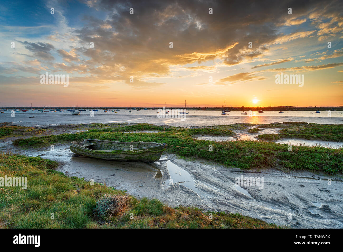 Un vieux bateau dans le marais salé à West Mersea une île de marée près de Colchester sur la côte Esssex Banque D'Images Un vieux bateau dans le marais salé à West Mersea une île de marée près de Colchester sur la côte Esssex Banque D'Images