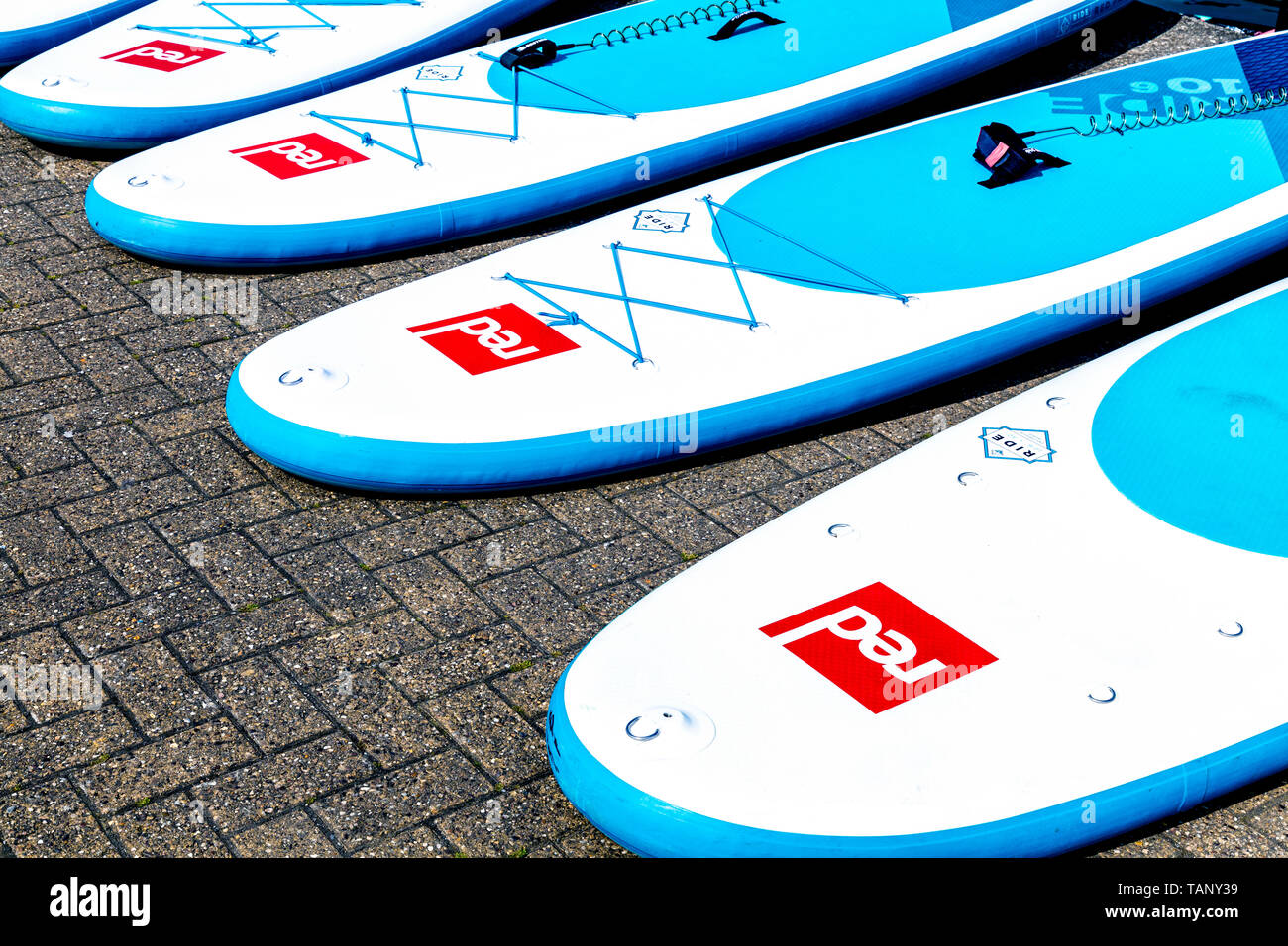 Paddle boards disposés sur le terrain Banque D'Images