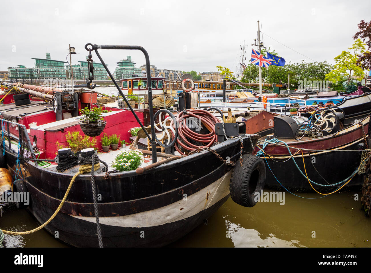 Londres, Royaume-Uni. 26 mai 2019. Le jardin flottant unique Barge Square à Downings Road Moorings (également connu sous le nom de Tower Bridge Moorings) sur la Tamise, ouvert au public en vertu de la National Gardens Scheme (NGS). Le jardin carré chaland se compose de plus de 30 bateaux Êhistoric fournissant des logements abordables et des studios pour plus de 70 personnes autour d'une infrastructure de jardins flottants et d'enchaînement des passerelles. La Barge de jardin Square est à seulement une courte distance de Tower Bridge. Cette ouverture a été le seul à avoir lieu au cours de 2019. Crédit : Stephen Bell/Alamy Stock Photo. Banque D'Images