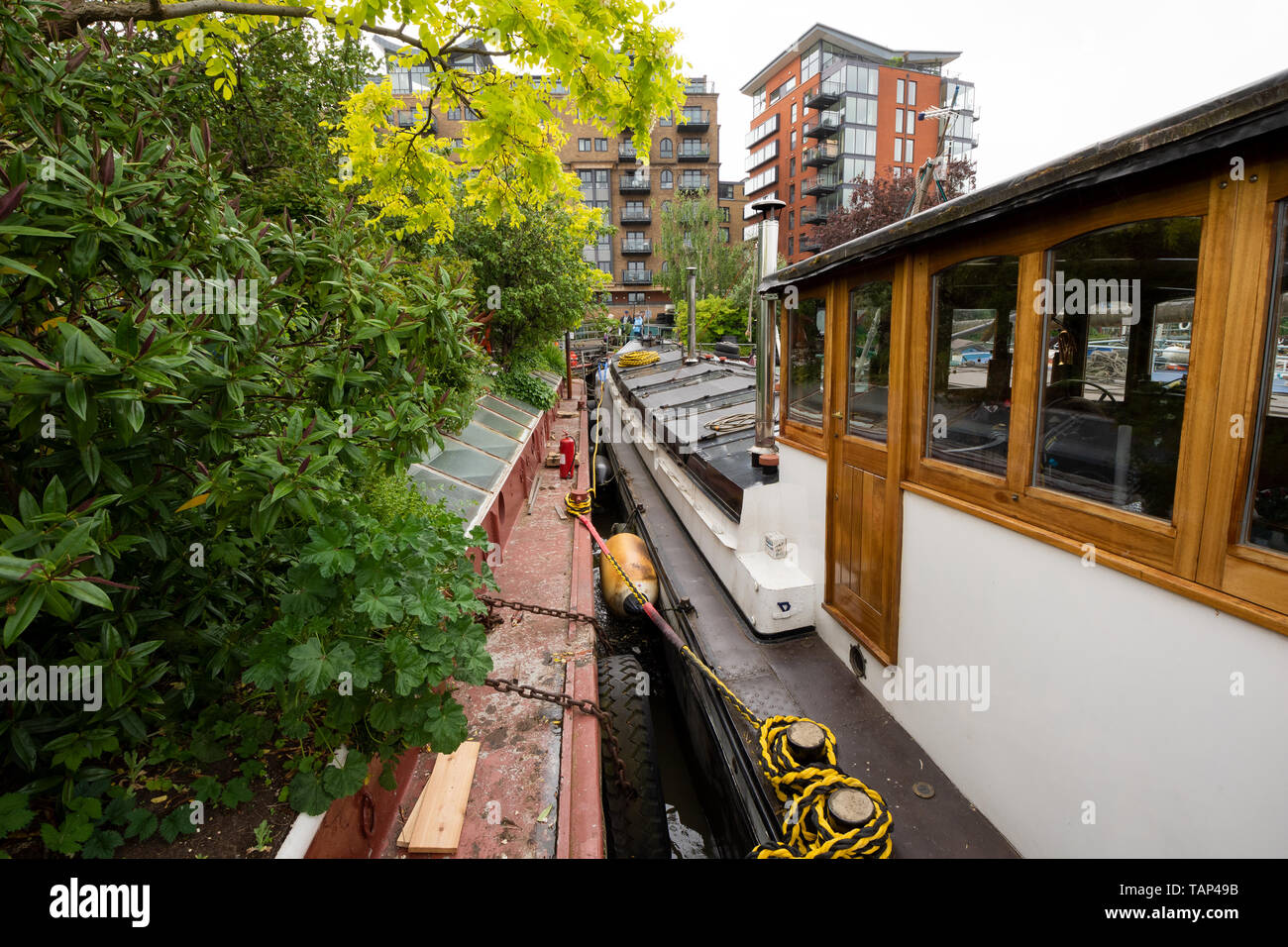 Londres, Royaume-Uni. 26 mai 2019. Le jardin flottant unique Barge Square à Downings Road Moorings (également connu sous le nom de Tower Bridge Moorings) sur la Tamise, ouvert au public en vertu de la National Gardens Scheme (NGS). Le jardin carré chaland se compose de plus de 30 bateaux Êhistoric fournissant des logements abordables et des studios pour plus de 70 personnes autour d'une infrastructure de jardins flottants et d'enchaînement des passerelles. La Barge de jardin Square est à seulement une courte distance de Tower Bridge. Cette ouverture a été le seul à avoir lieu au cours de 2019. Crédit : Stephen Bell/Alamy Stock Photo. Banque D'Images