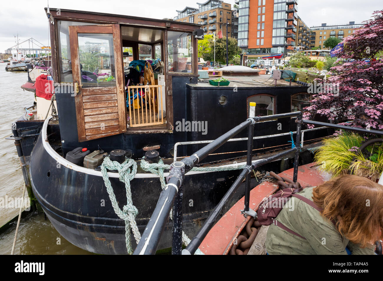 Londres, Royaume-Uni. 26 mai 2019. Le jardin flottant unique Barge Square à Downings Road Moorings (également connu sous le nom de Tower Bridge Moorings) sur la Tamise, ouvert au public en vertu de la National Gardens Scheme (NGS). Le jardin carré chaland se compose de plus de 30 bateaux Êhistoric fournissant des logements abordables et des studios pour plus de 70 personnes autour d'une infrastructure de jardins flottants et d'enchaînement des passerelles. La Barge de jardin Square est à seulement une courte distance de Tower Bridge. Cette ouverture a été le seul à avoir lieu au cours de 2019. Crédit : Stephen Bell/Alamy Stock Photo. Banque D'Images