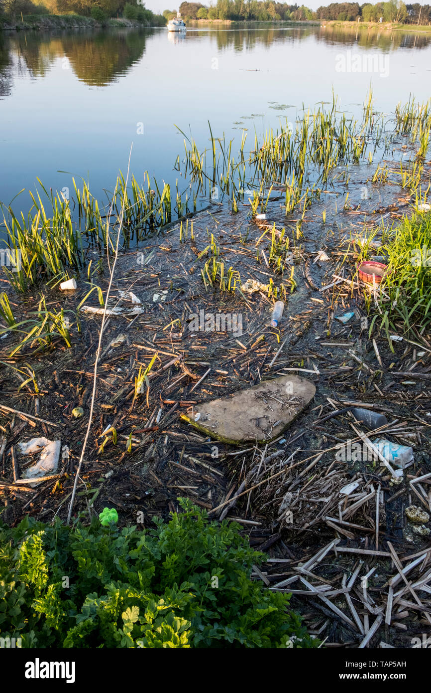 Rivière polluée. Les bouteilles en plastique et autres déchets dans des roseaux et de l'eau par les bords de la rivière Trent, Lancashire, England, UK Banque D'Images