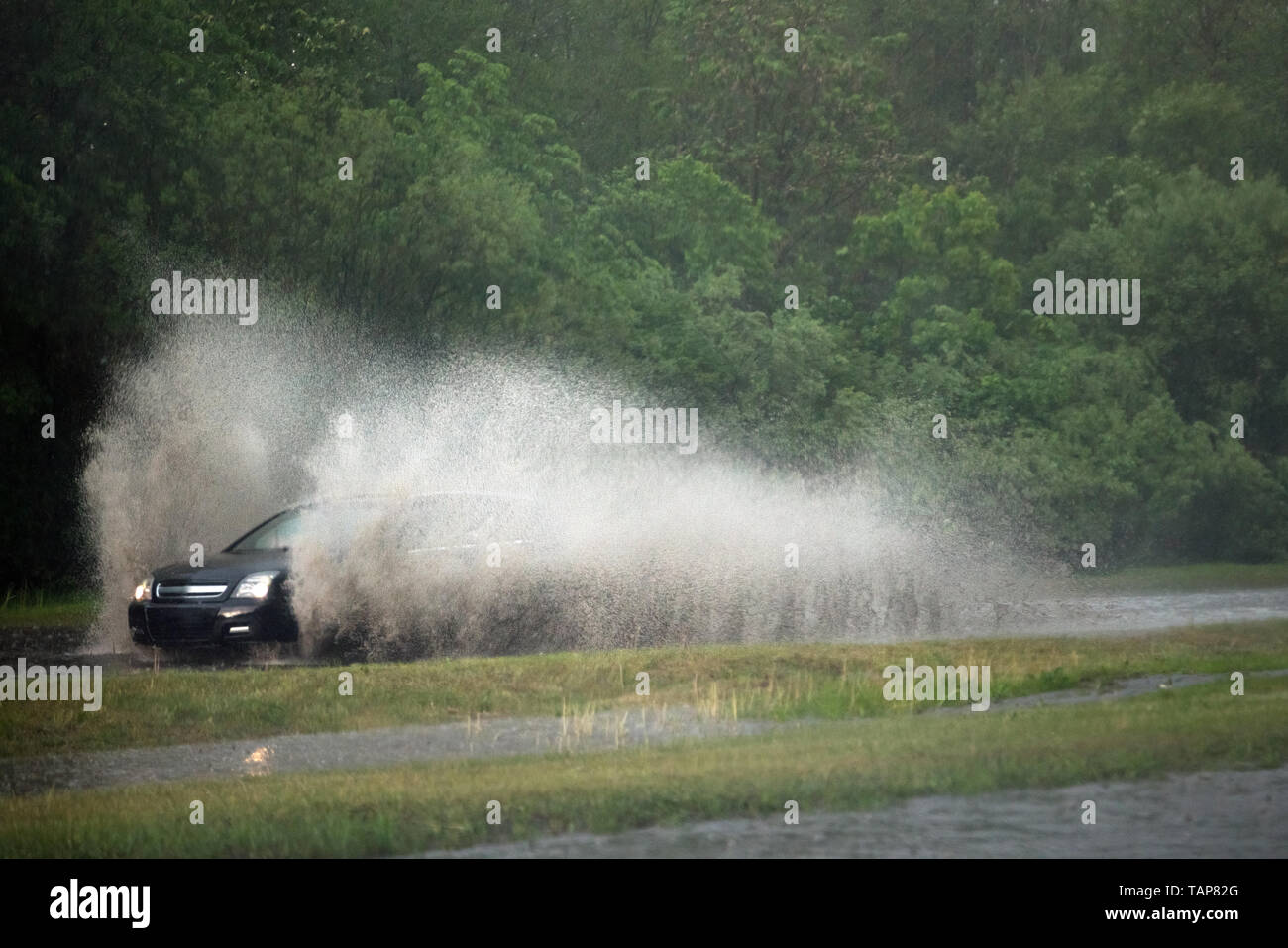 Voiture fonctionne en grande flaque à de fortes pluies, les éclaboussures d'eau sur la voiture. Voiture roulant sur route asphaltée à Thunder storm. Conditions de conduite dangereuses Banque D'Images