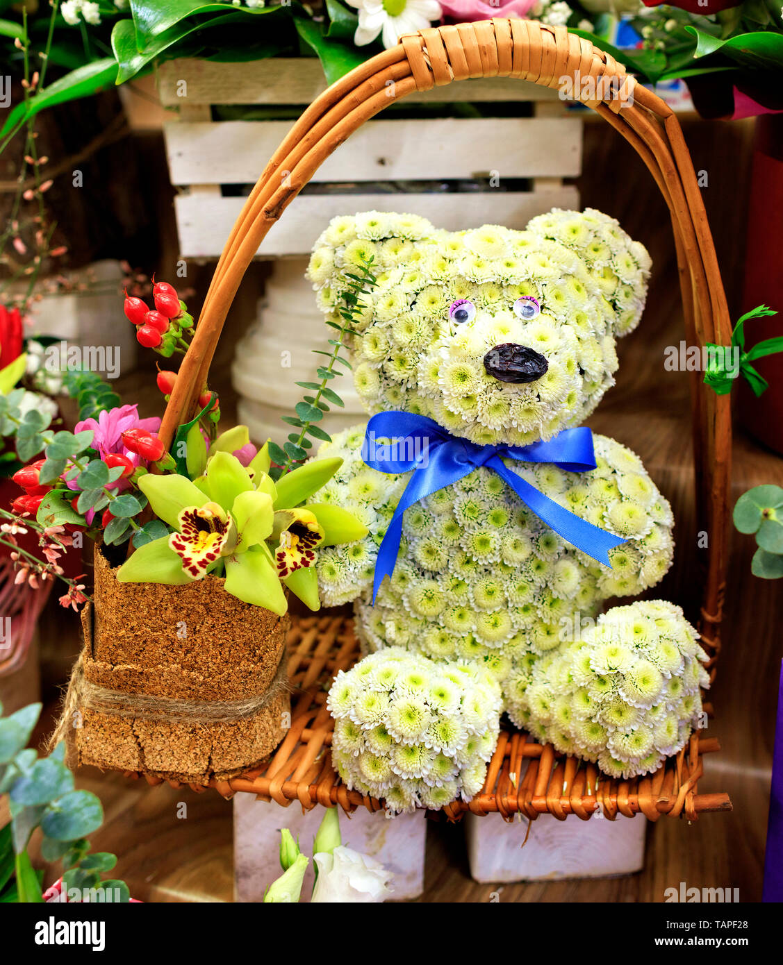 Close-up d'une belle composition d'un ours en peluche à partir de petits  chrysanthèmes en fleurs dans un panier en osier avec une grande orchidée,  fleur Photo Stock - Alamy