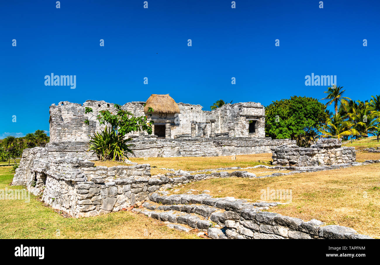 Ruines mayas à Tulum au Mexique Banque D'Images