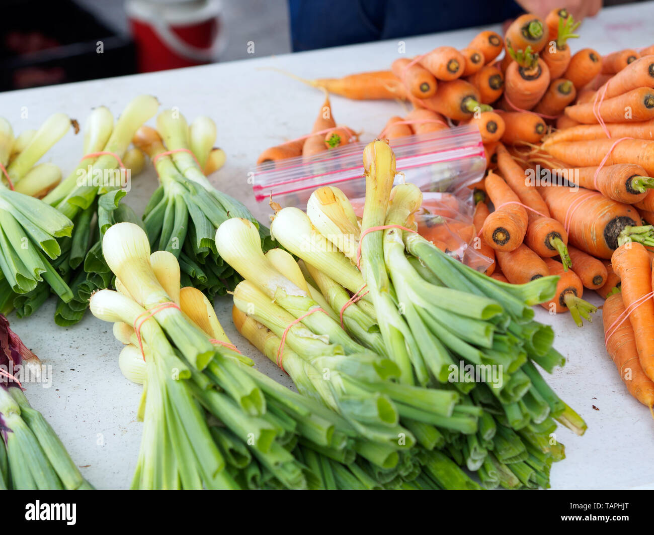 Oignons verts d'élevage à la vente à la Corpus Christi Southside Farmer's Market à Corpus Christi, Texas USA. Banque D'Images