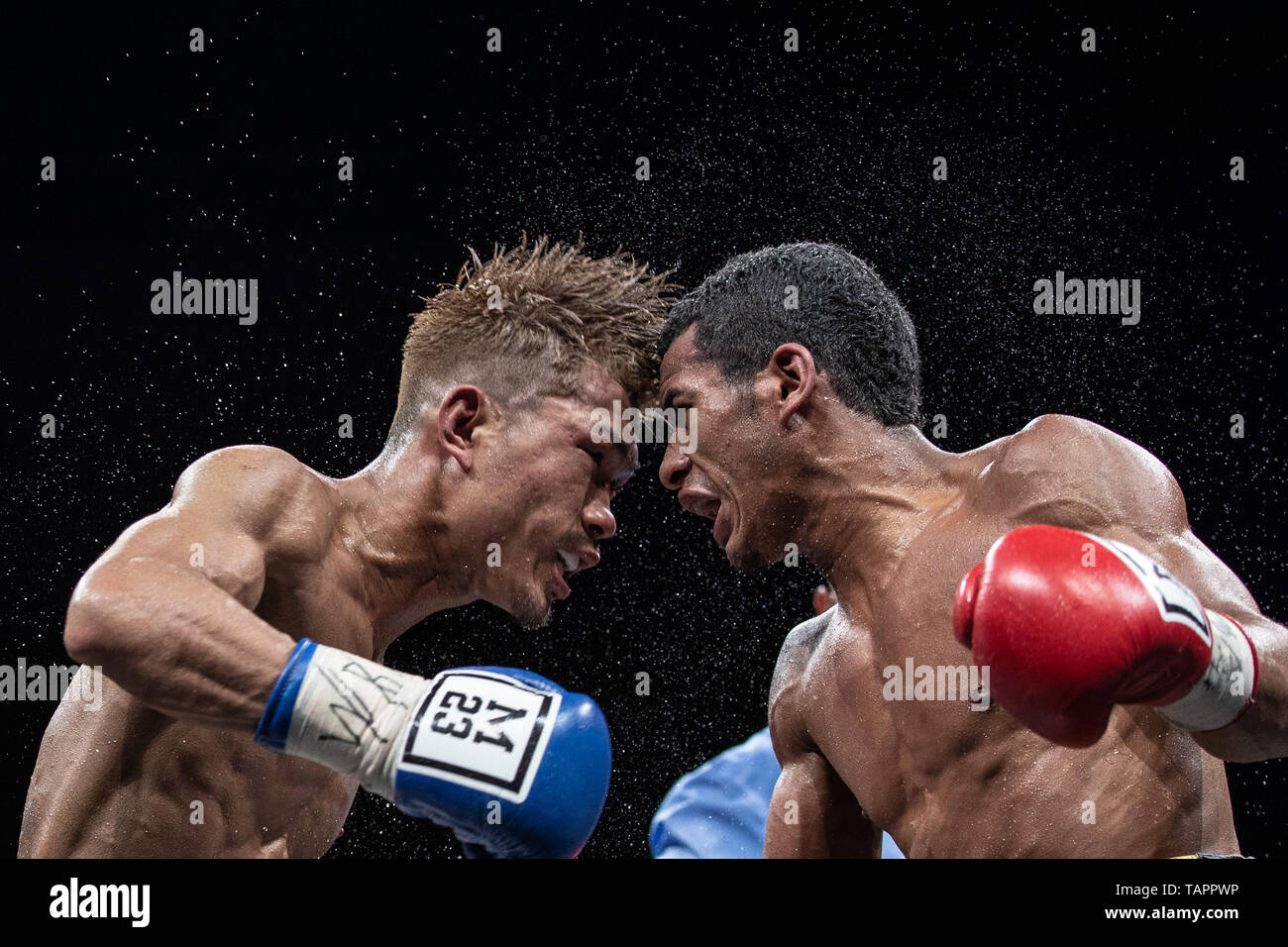 Fuzhou, Chine, province de Jiangxi. 26 mai, 2019. Sho Kimura (L) du Japon est en concurrence au cours de la compétition poids-mouche WBA avec Carlos Canizales du Venezuela à Fuzhou, Chine de l'est la province de Jiangxi, du 26 mai 2019. Credit : Wu Zhuang/Xinhua/Alamy Live News Banque D'Images