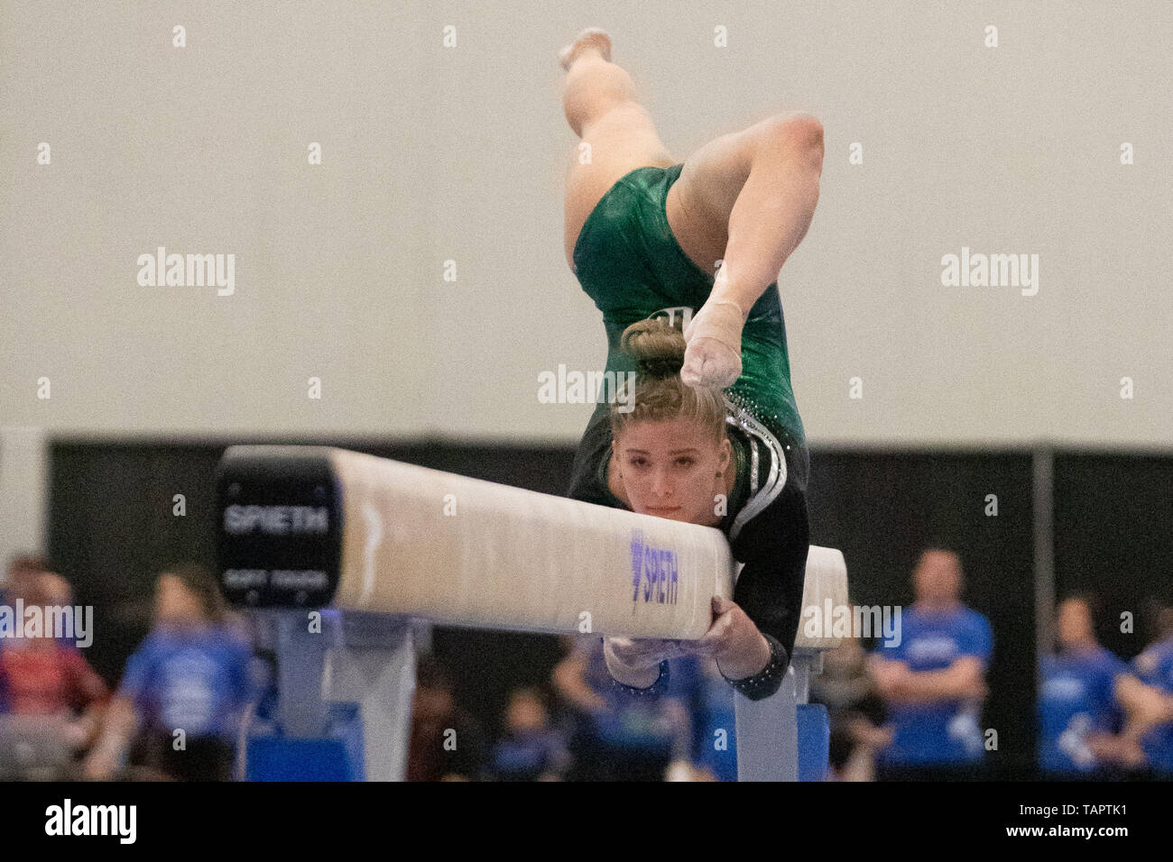 Ottawa, Canada. 24 mai, 2019. Emily Walker (# 316) effectue sa routine du faisceau pendant le 2019 junior aux Championnats canadiens de gymnastique artistique à l'Université Carleton à Ottawa, Canada. Daniel Lea/CSM/Alamy Live News Banque D'Images