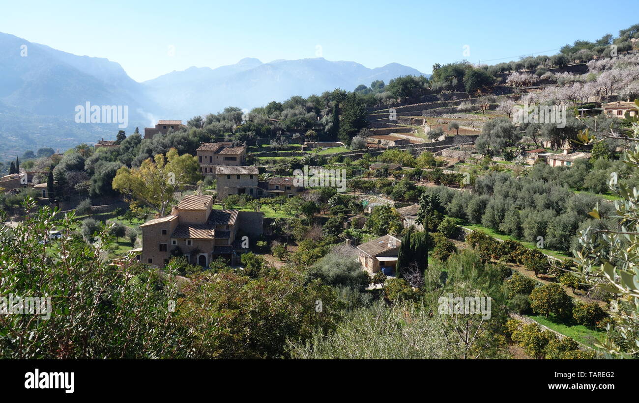 Fornalutx ville ion hiver Majorque île, Espagne Banque D'Images