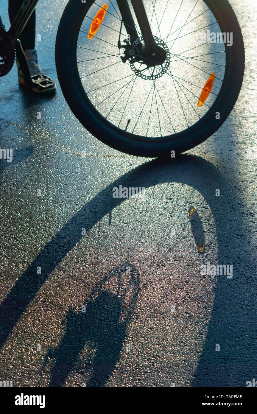 Ombre de vélo sur la route, une roue de bicyclette sur le trottoir Banque D'Images