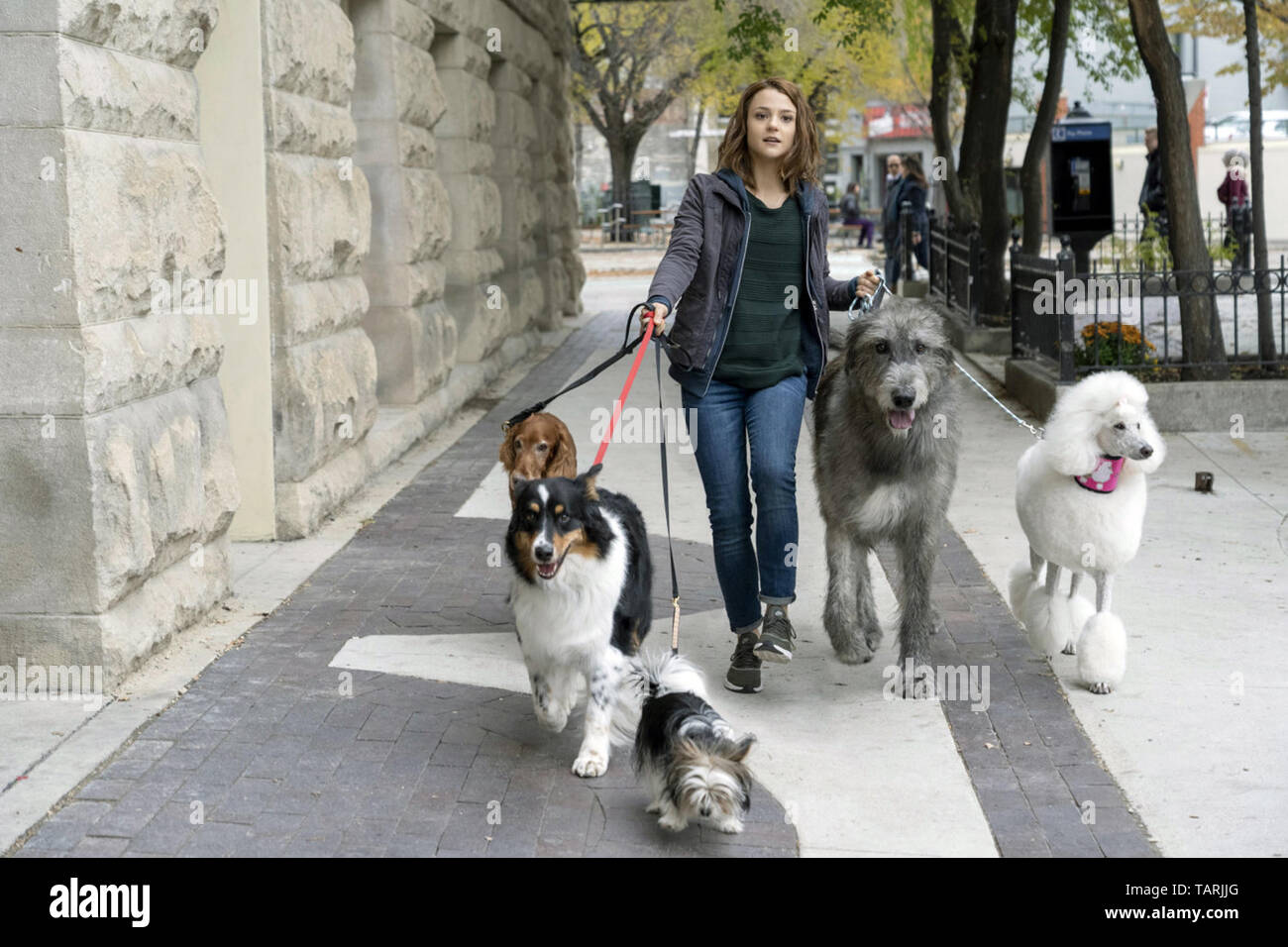 Le parcours d'un chien est un 2019 American Comedy-drama film directed by Gail Mancuso et écrit par W. Bruce Cameron, Cathryn Michon, Maya Forbes, et Wally Wolodarsky. Le film est basé sur le roman 2012 du même nom par Cameron, et une suite du film de 2017 un chien au but. Le film stars Josh Gad, Dennis Quaid, Marg Helgenberger, Betty Gilpin, Kathryn Prescott, et Henry Lau. Cette photo est pour un usage éditorial uniquement et est l'auteur de la société film et/ou le photographe attribué par le film ou la société de production et ne peut être reproduite que par des publications en collaboration avec le p Banque D'Images