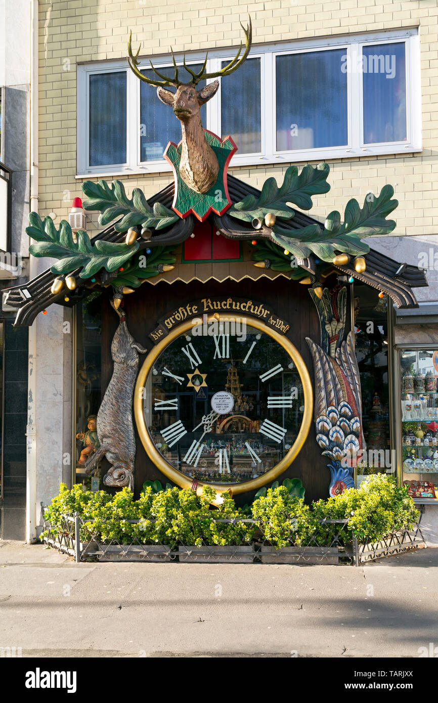 Le plus grand coucou du monde Banque de photographies et d’images à