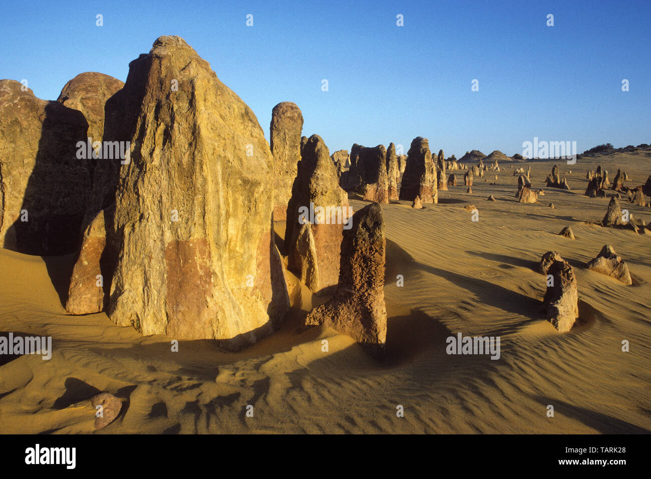 Les Pinnacles, le Parc National de Nambung, Australie occidentale, Australie formations calcaires connue sous le nom de 'The Pinnacles' Banque D'Images