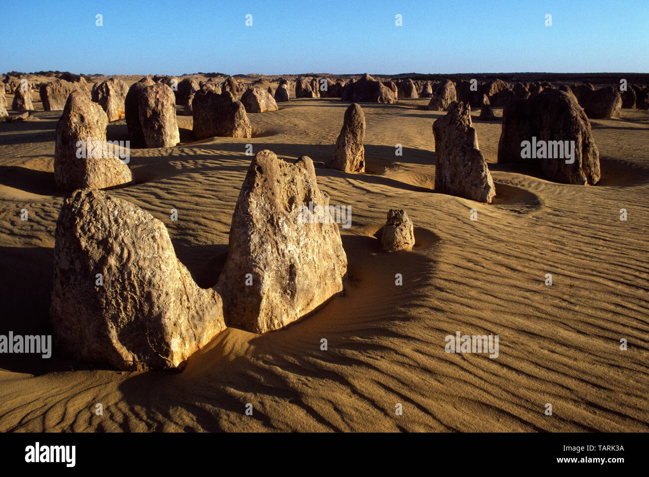 Les Pinnacles, le Parc National de Nambung, Australie occidentale, Australie formations calcaires connue sous le nom de 'The Pinnacles' Banque D'Images