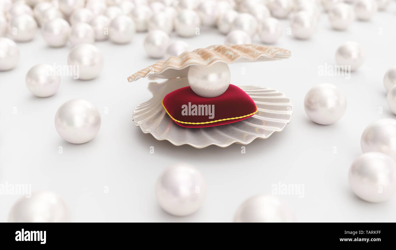 Sea shell avec perle sur un coussin en velours rouge avec un trait d'or. Belle perle, bijoux coûteux pour les femmes. Coquillage, pluralité des belles pe Banque D'Images