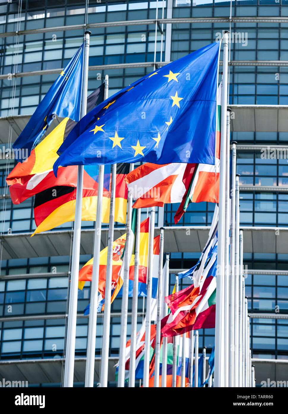Nettoyer drapeaux de tous les États membres de l'Union européenne forme en vent calme en face du siège du Parlement le jour de l'élection du Parlement européen 2019. Banque D'Images
