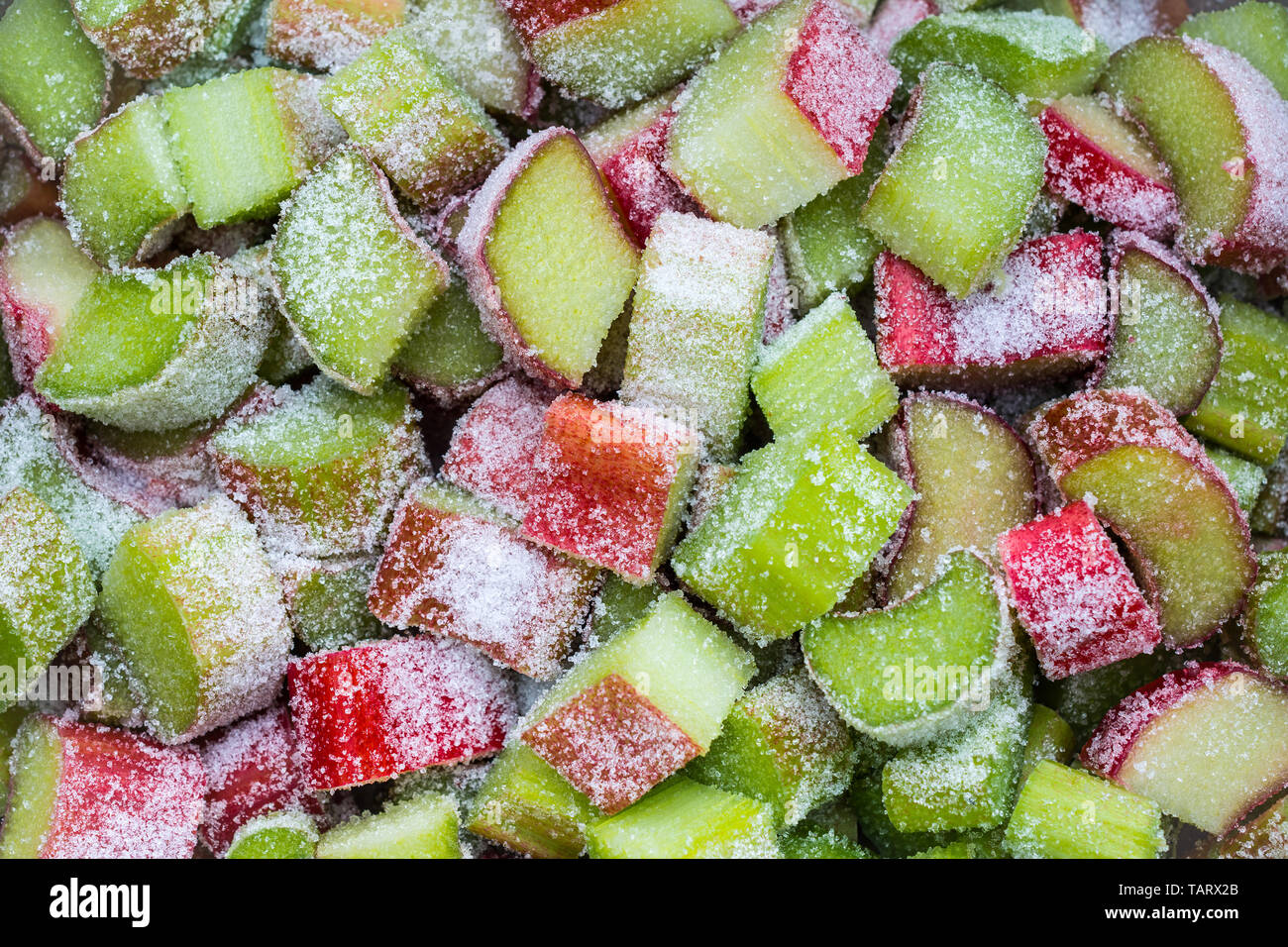 La rhubarbe et le sucre prête à l'étuvée. Banque D'Images