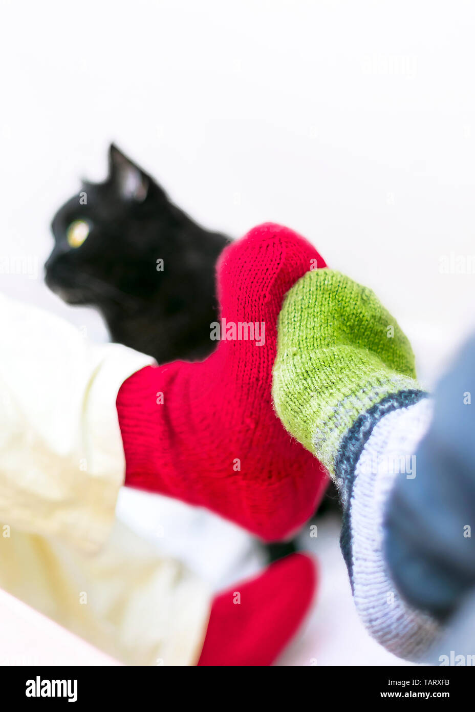 Couple en laine colorées Chaussettes tricotées touchent les pieds. Chat noir à regarder. Les gens à la maison en saison froide. Noël, Nouvel An, Lo Banque D'Images