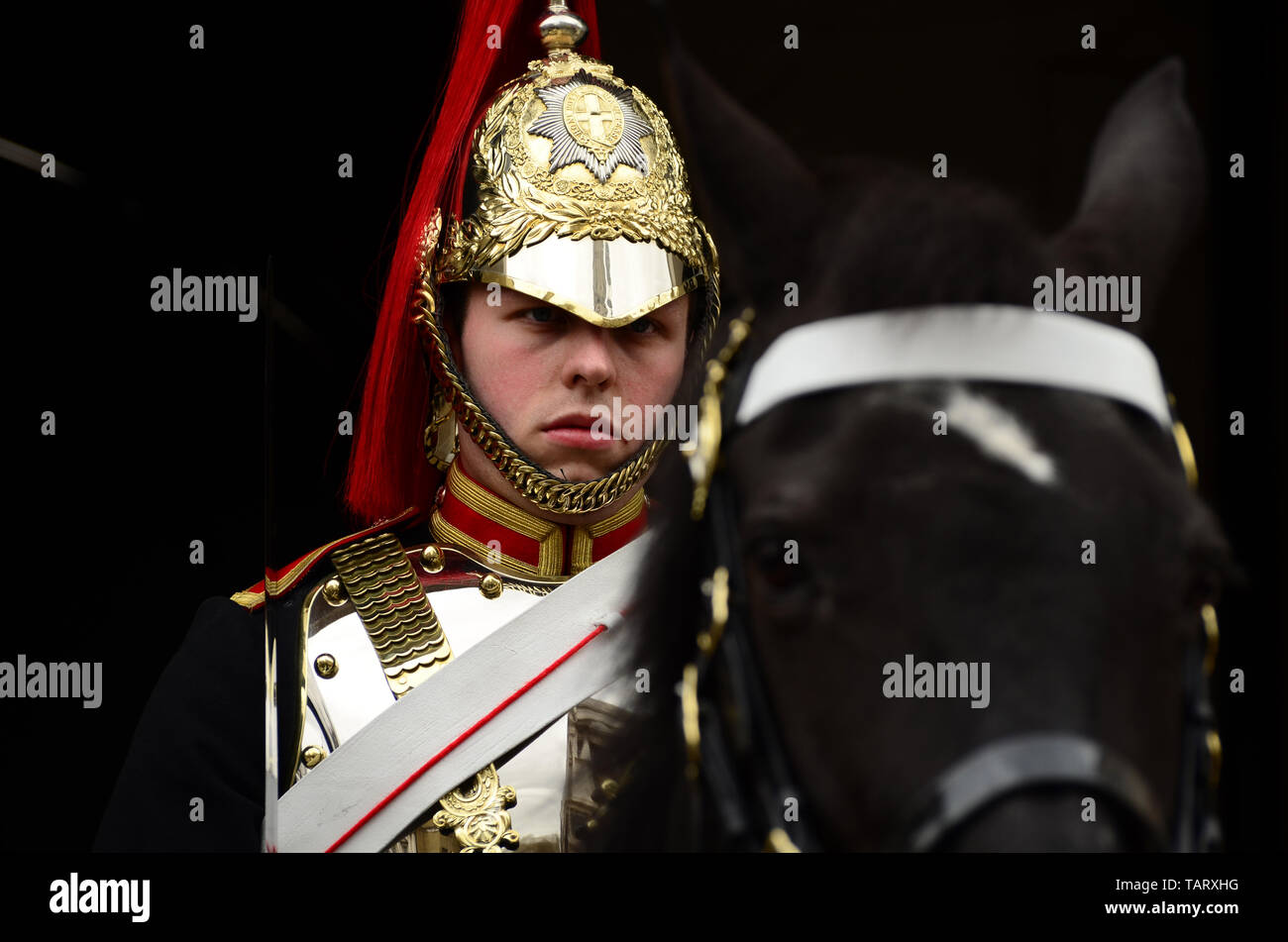 Londres - le 31 mars 2012 : Close-up of a Royal Horse Guard in front of house Hold Cavalry London UK Banque D'Images