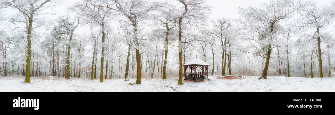 Panorama de la forêt d'hiver avec des arbres couverts de neige Banque D'Images