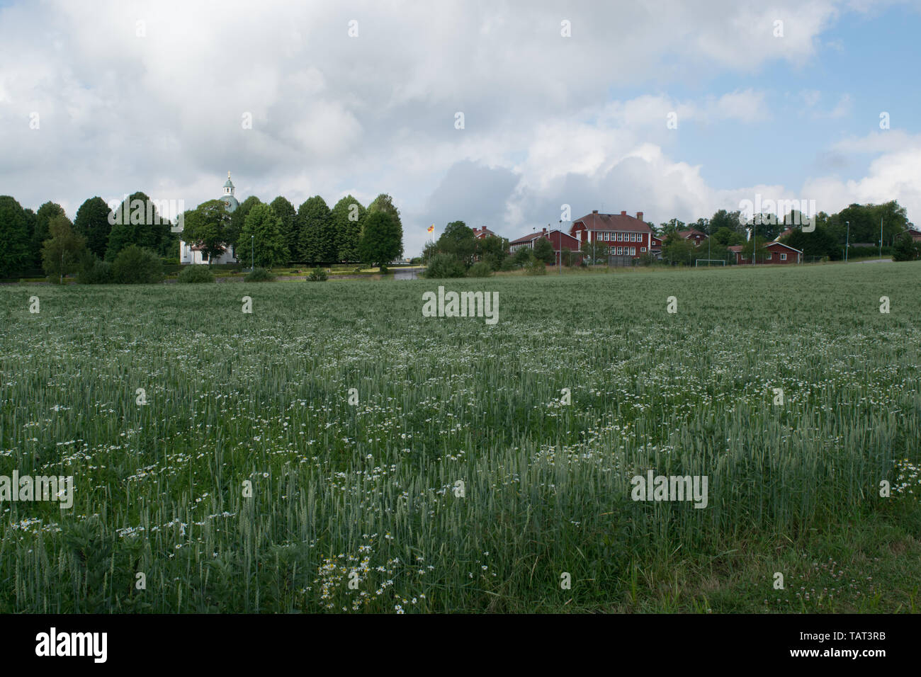 Un champ d'herbe et de fleurs quelque part en Suède, avec une église et maisons suédoises rouge classique dans la distance. Banque D'Images